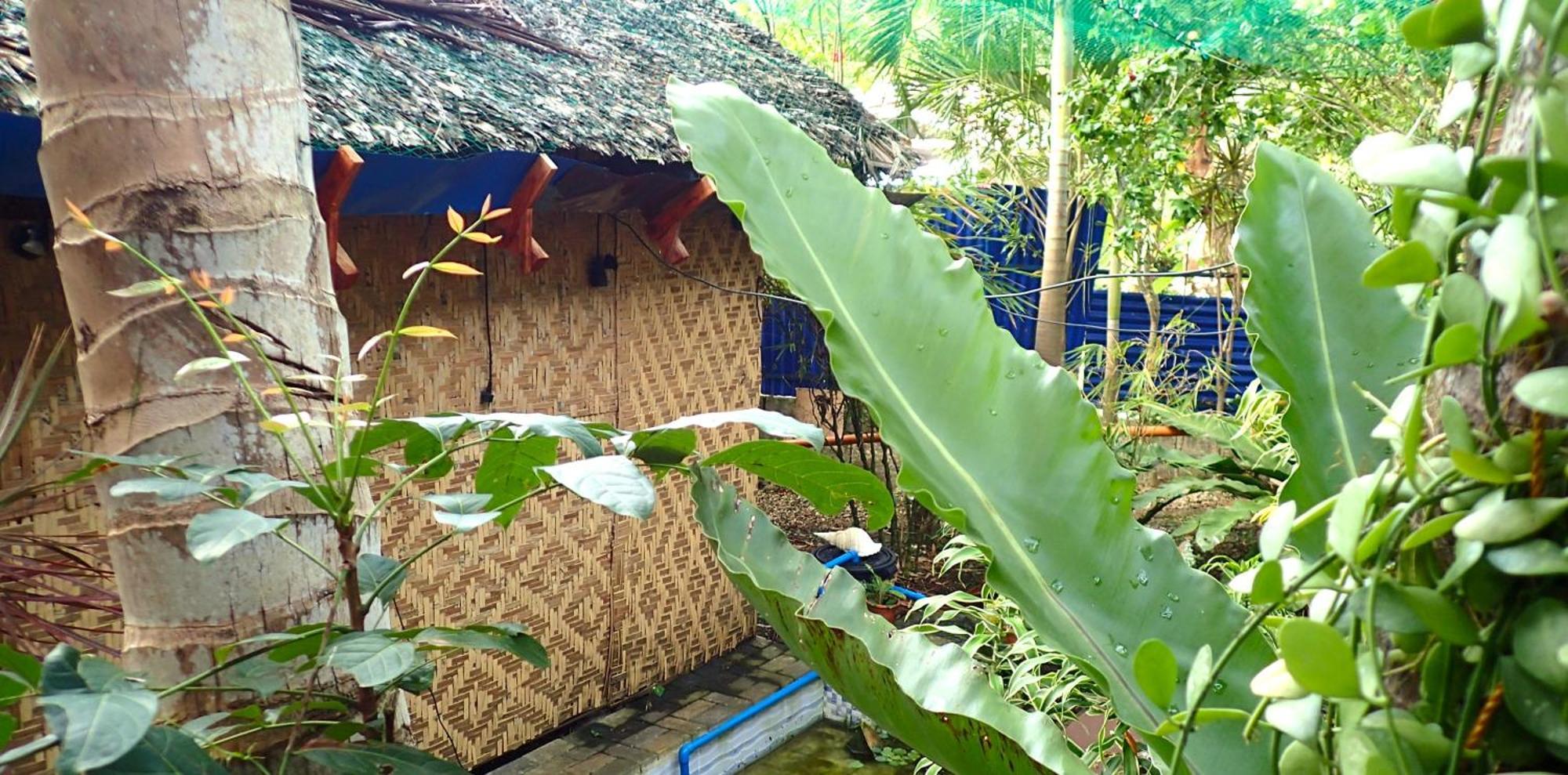 Island Tiki Paradise Resort Panglao Exterior photo