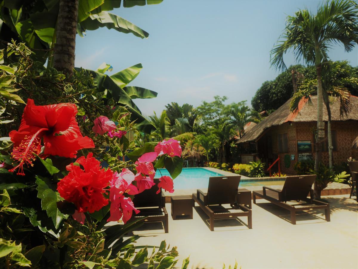 Island Tiki Paradise Resort Panglao Exterior photo